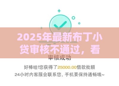 2025年最新布丁小贷审核不通过，看看这五个双黑逾期严重能下款的平台