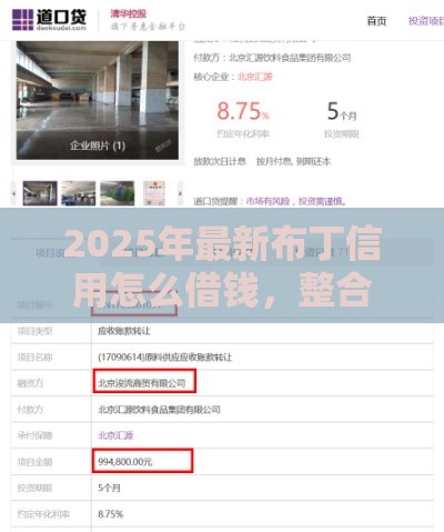 2025年最新布丁信用怎么借钱，整合五个苏州贷款平台