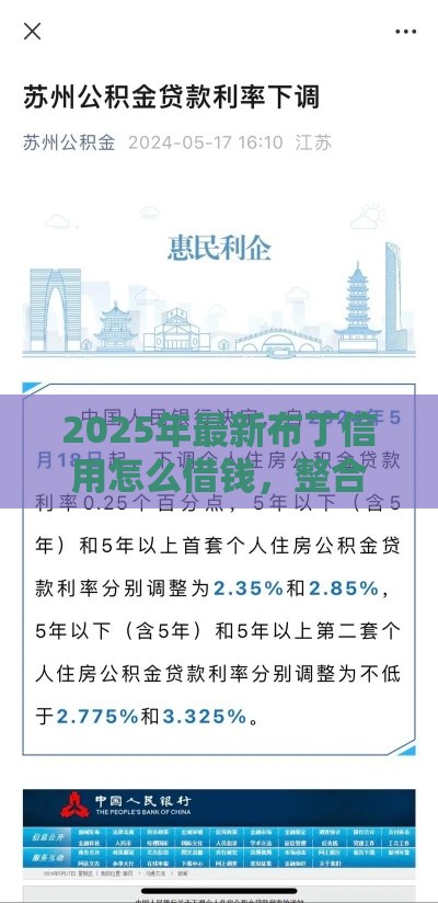 2025年最新布丁信用怎么借钱，整合五个苏州贷款平台
