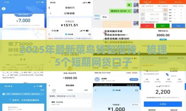 2025年最新菜鸟钱包借钱，梳理5个短期网贷口子