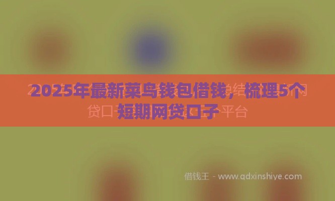 2025年最新菜鸟钱包借钱，梳理5个短期网贷口子