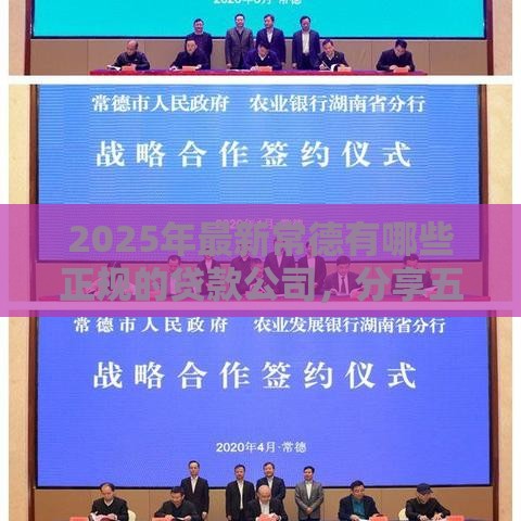 2025年最新常德有哪些正规的贷款公司，分享五个极速贷款平台