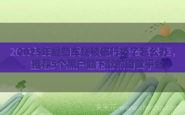 2025年最新车贷被银行拒了怎么办，推荐5个黑户能下款的借款平台
