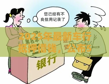 2025年最新车行抵押借钱，公布5个贷款平台不看征信不看逾期
