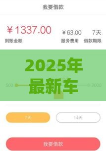 2025年最新车主白条审核不通过，整理5个黑户高炮口子下款的2025