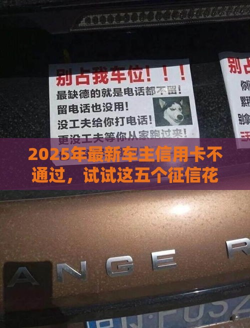 2025年最新车主信用卡不通过，试试这五个征信花必过的平台