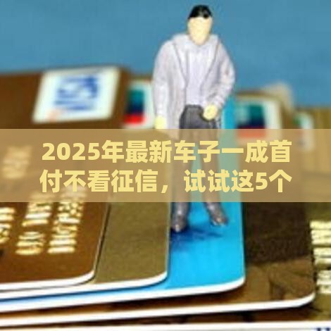 2025年最新车子一成首付不看征信，试试这5个最新14天借款小额口子
