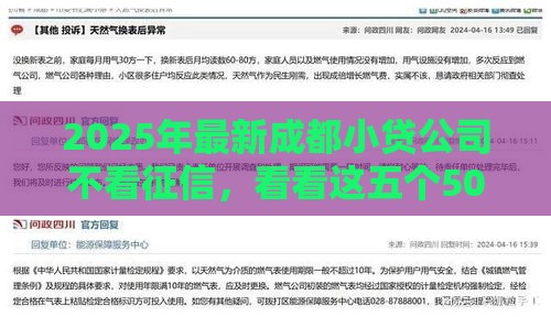 2025年最新成都小贷公司不看征信，看看这五个50多岁能下款的网贷平台