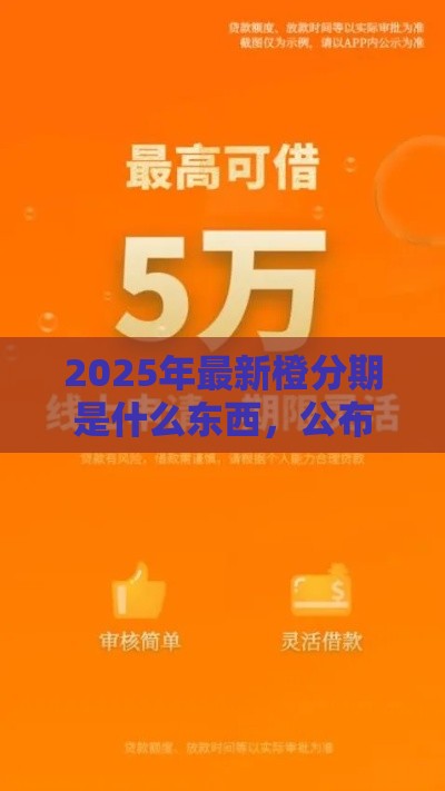 2025年最新橙分期是什么东西，公布5个借钱正规平台