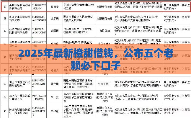 2025年最新橙甜借钱，公布五个老赖必下口子