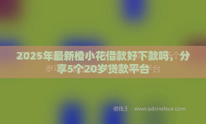 2025年最新橙小花借款好下款吗，分享5个20岁贷款平台