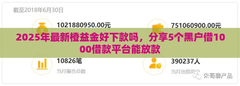 2025年最新橙益金好下款吗，分享5个黑户借1000借款平台能放款