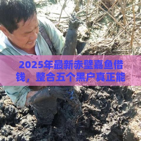 2025年最新赤壁嘉鱼借钱，整合五个黑户真正能借到款的口子