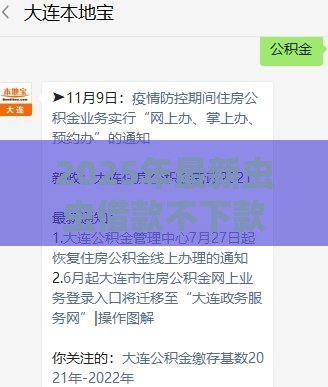 2025年最新虫虫借款不下款了，试试这五个宁银消金是什么贷款平台