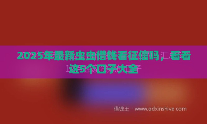 2025年最新虫虫借钱看征信吗，看看这5个口子大全
