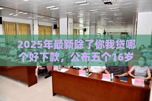 2025年最新除了你我贷哪个好下款，公布五个16岁能贷款的平台