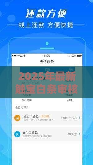 2025年最新触宝白条审核不通过，整合5个黑户平台能借到钱的
