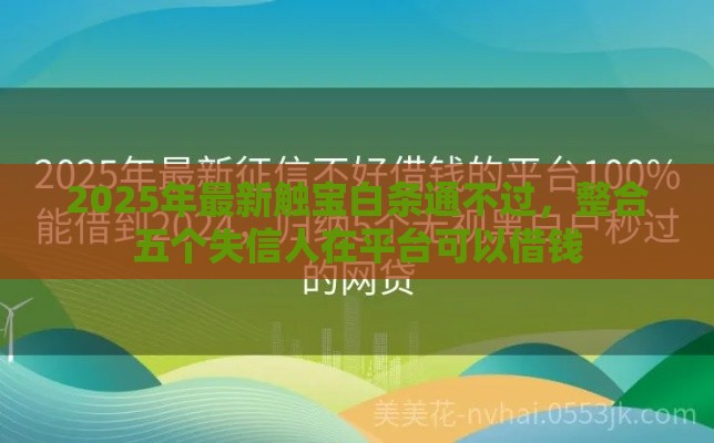 2025年最新触宝白条通不过，整合五个失信人在平台可以借钱