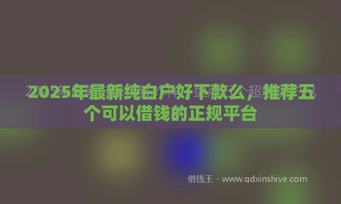 2025年最新纯白户好下款么，推荐五个可以借钱的正规平台