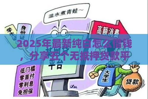 2025年最新纯白怎么借钱，分享五个无抵押贷款平台