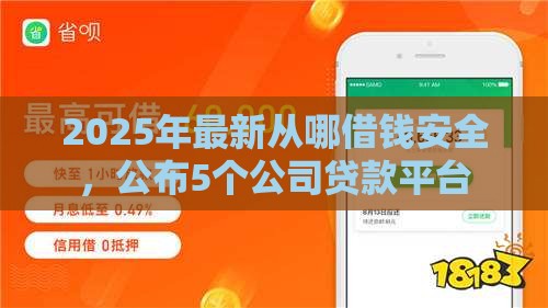 2025年最新从哪借钱安全，公布5个公司贷款平台