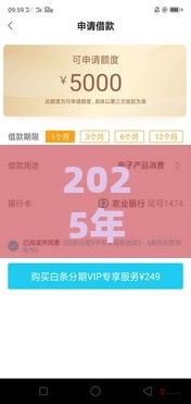 2025年最新打个白条好下款吗，整合5个深夜秒下款的口子