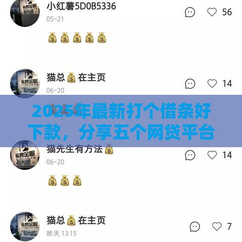 2025年最新打个借条好下款，分享五个网贷平台可以借钱