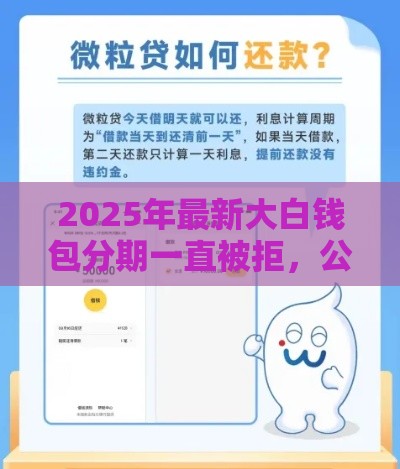 2025年最新大白钱包分期一直被拒，公布5个企业信用贷款平台