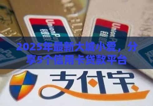 2025年最新大城小爱，分享5个信用卡贷款平台