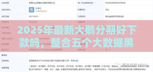 2025年最新大鹅分期好下款吗，整合五个大数据黑了能借款的平台