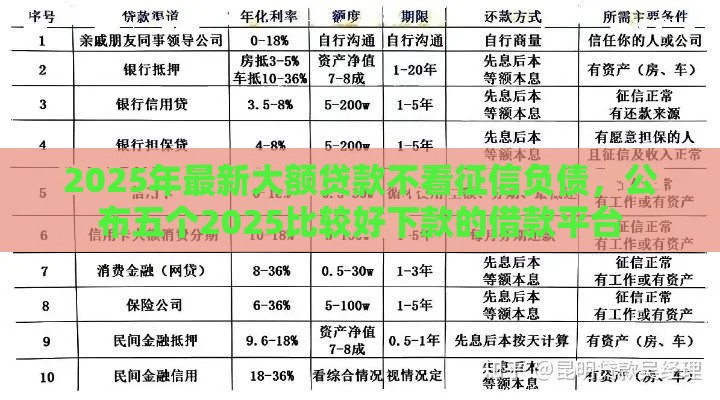 2025年最新大额贷款不看征信负债，公布五个2025比较好下款的借款平台