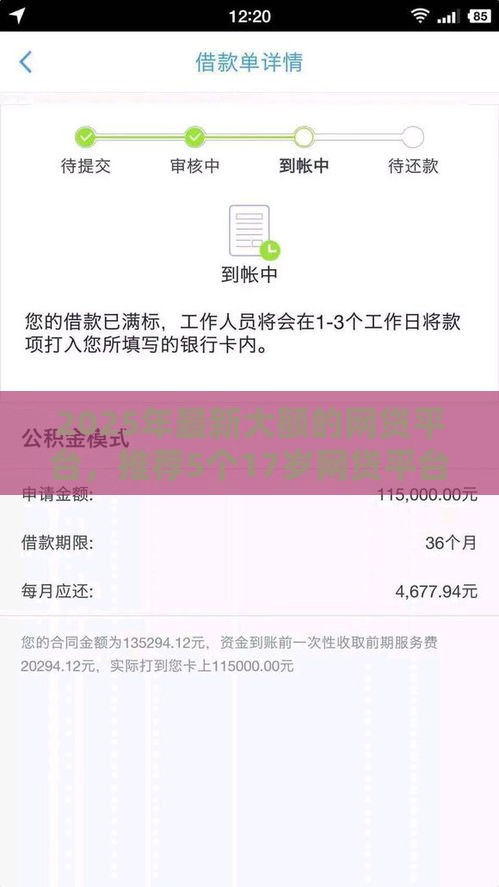 2025年最新大额的网贷平台，推荐5个17岁网贷平台
