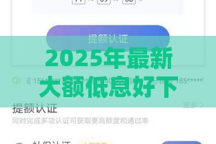 2025年最新大额低息好下款的网贷，公布5个老赖可以借款的平台的