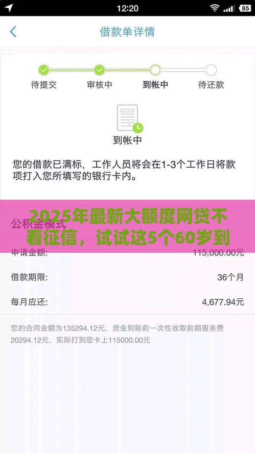 2025年最新大额度网贷不看征信，试试这5个60岁到65岁借款平台
