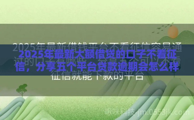 2025年最新大额借贷的口子不看征信，分享五个平台贷款逾期会怎么样