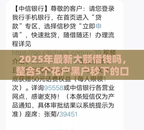 2025年最新大额借钱吗，整合5个花户黑户秒下的口子
