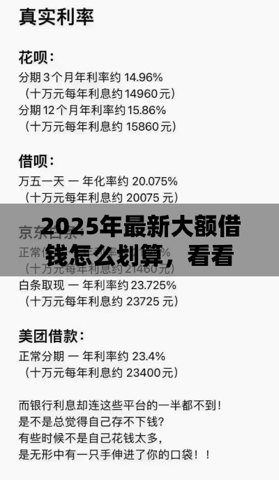 2025年最新大额借钱怎么划算，看看这五个靠谱借钱平台