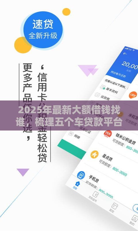 2025年最新大额借钱找谁，梳理五个车贷款平台