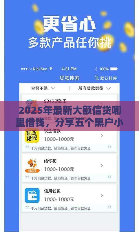 2025年最新大额信贷哪里借钱，分享五个黑户小贷平台好借款