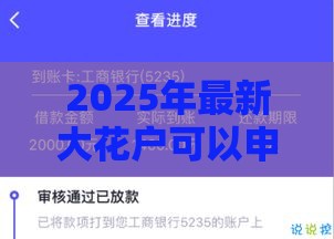 2025年最新大花户可以申请信用卡吗安全吗，推荐五个借款平台好贷款啊