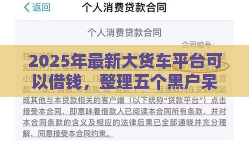 2025年最新大货车平台可以借钱，整理五个黑户呆账逾期能下的口子