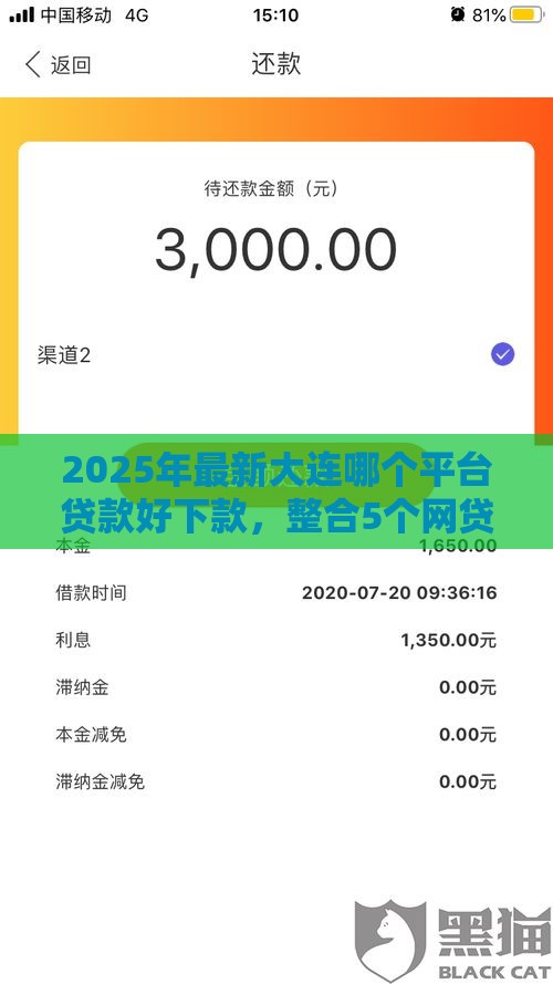 2025年最新大连哪个平台贷款好下款，整合5个网贷平台利息最低