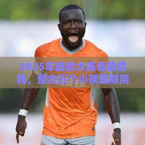 2025年最新大连谁能借钱，整合五个小额短期用钱好平台