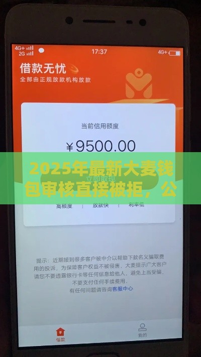 2025年最新大麦钱包审核直接被拒，公布5个和拍拍贷一样容易借钱的平台