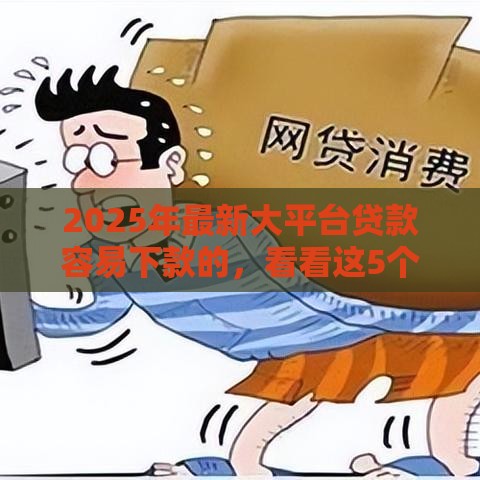 2025年最新大平台贷款容易下款的，看看这5个网贷投诉平台