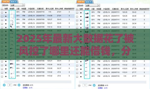 2025年最新大数据花了被风控了哪里还能借钱，分享5个黑口子不看征信无视大数据