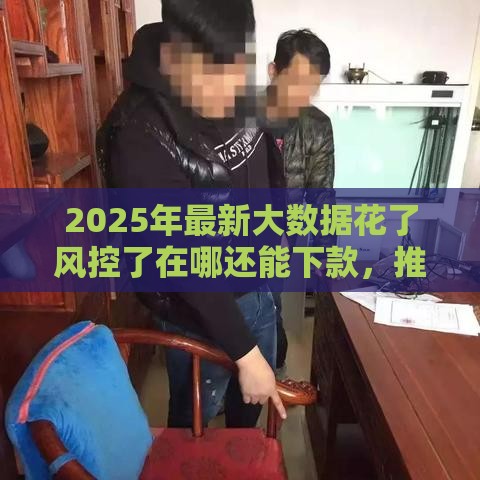 2025年最新大数据花了风控了在哪还能下款，推荐五个小额正规贷款平台
