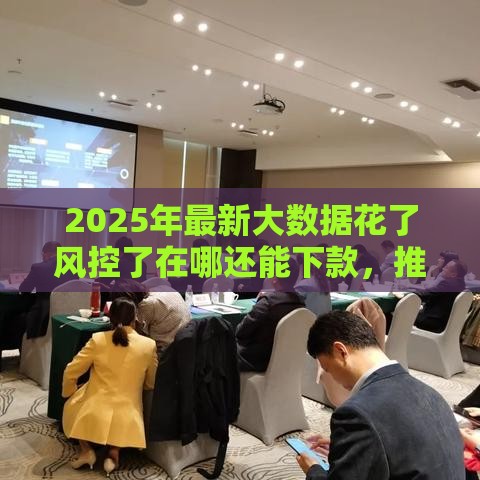 2025年最新大数据花了风控了在哪还能下款，推荐五个小额正规贷款平台