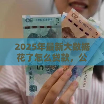 2025年最新大数据花了怎么贷款，公布5个借款平台好借钱