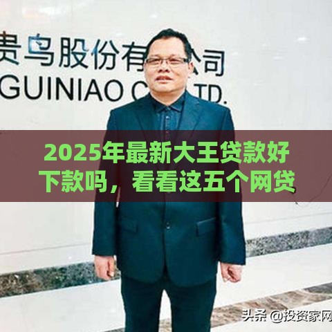 2025年最新大王贷款好下款吗，看看这五个网贷通过率高的平台